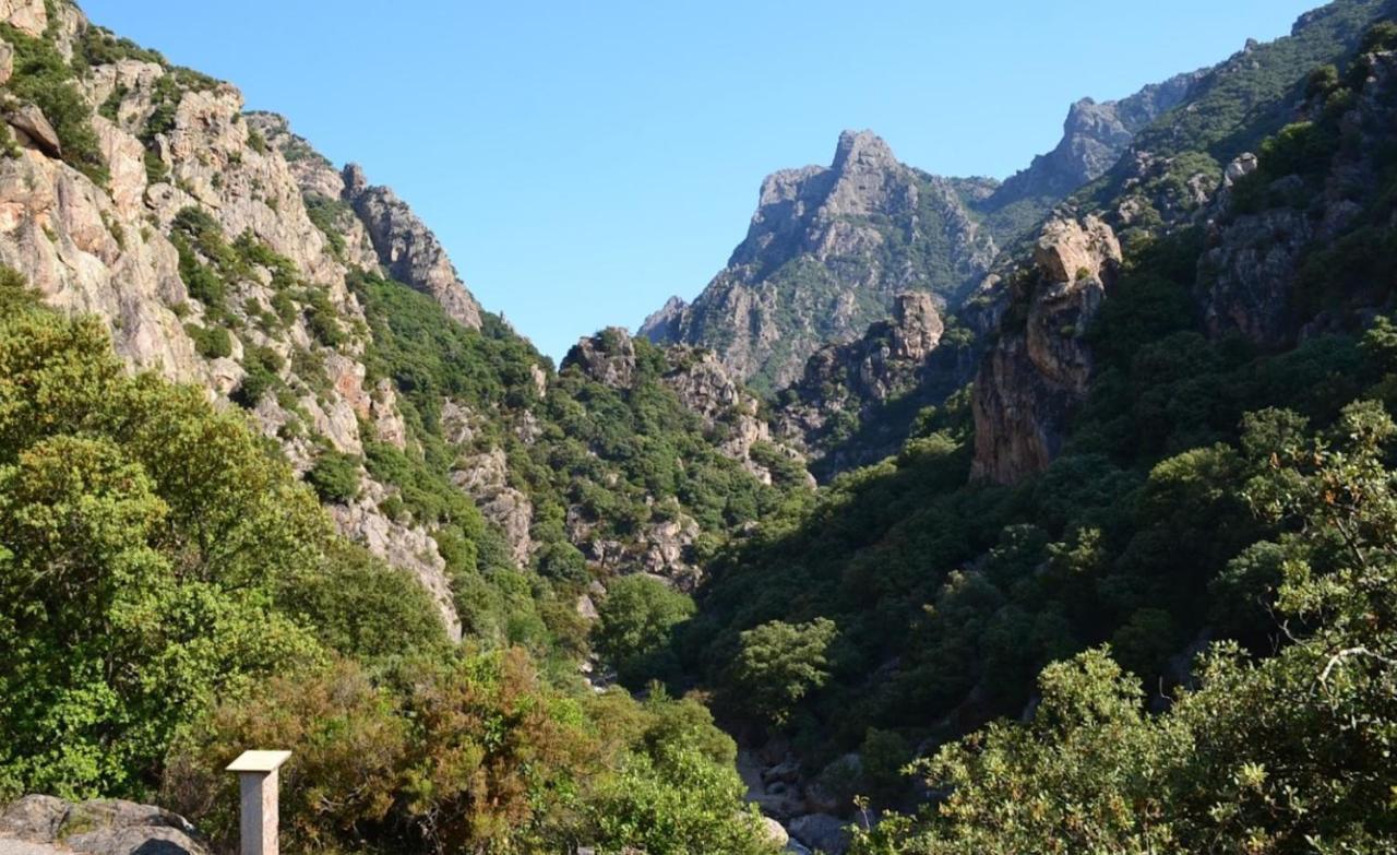 Résidence du soleil Béziers Esterno foto